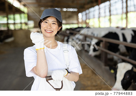 牧場で働く若い酪農家 77944883