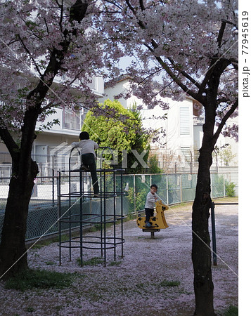 香川県高松市観光町 ひだまりアパートメントの公園の桜と遊具で遊ぶ子供の写真素材