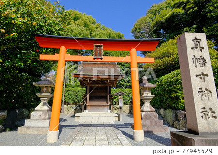 城南宮の枝垂れ梅 城南宮の枝垂れ梅 77945629