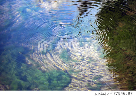 軽井沢 雲場池の水面 軽井沢 雲場池の水面 77946397