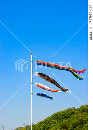 鯉のぼり 77946416