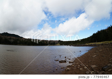 北八ヶ岳の雨池 77946467