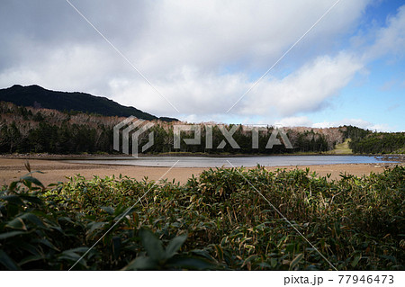 北八ヶ岳の雨池 北八ヶ岳の雨池 77946473