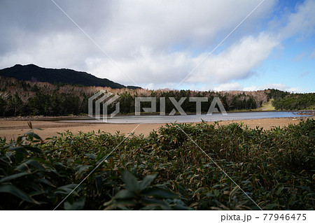 北八ヶ岳の雨池 77946475