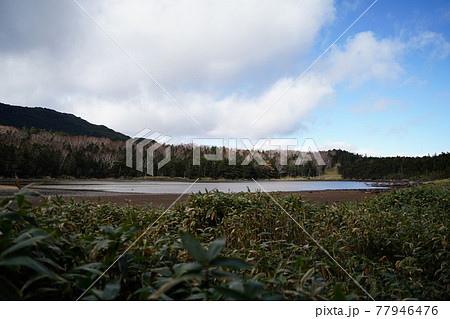 北八ヶ岳の雨池 北八ヶ岳の雨池 77946476