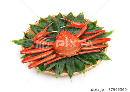 茹でたベニズワイガニ 77946560
