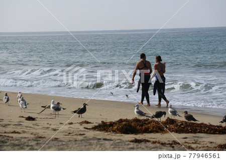 ロサンゼルスのビーチを歩くサーファーの二人 77946561