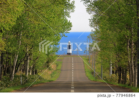 北海道網走市能取岬の風景 能取岬灯台への一本道【5月】 北海道網走市能取岬の風景 能取岬灯台への一本道【5月】 77946864