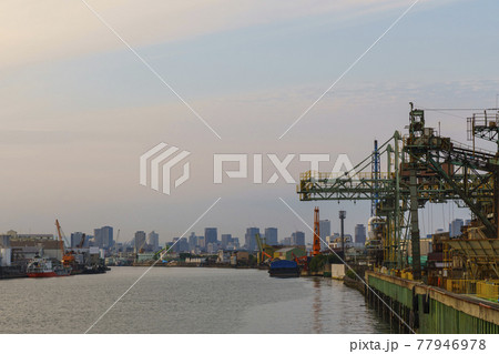 千本松渡船場(南津守側)近辺から見る木津川の夕景 77946978