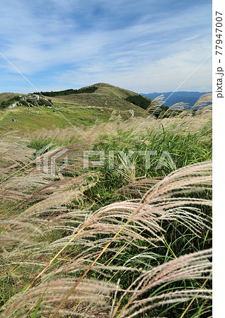生石高原 【和歌山県紀美野町】 生石高原 【和歌山県紀美野町】 77947007