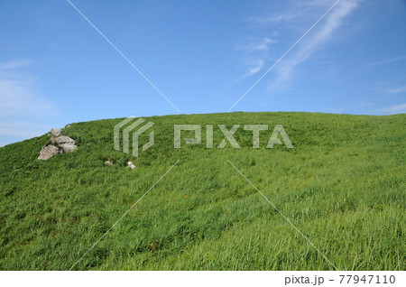夏の生石高原 【和歌山県紀美野町】 夏の生石高原 【和歌山県紀美野町】 77947110