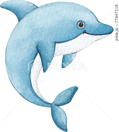 Dolphin watercolor 77947319