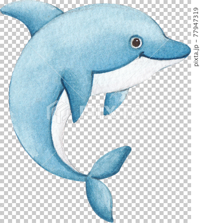 Dolphin watercolor 77947319
