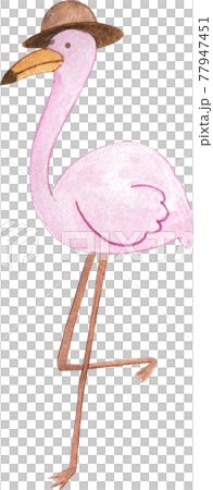 Flamingo with summer watercolor 77947451
