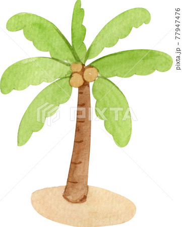 Palm tree watercolor 77947476