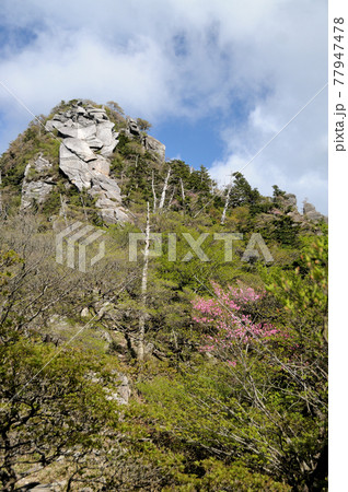 大峰山脈大日岳　【奈良県吉野郡下北山村】 77947478