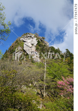 大峰山脈大日岳　【奈良県吉野郡下北山村】 77947479