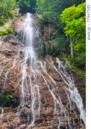 前鬼の裏行場　三重の滝(千手滝)　【奈良県吉野郡下北山村】 77947585