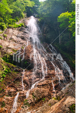 前鬼の裏行場　三重の滝(千手滝)　【奈良県吉野郡下北山村】 77947586