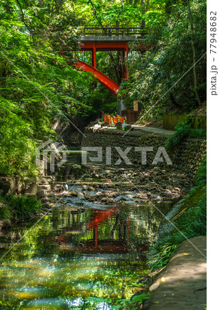 東京の都市風景 等々力渓谷 ゴルフ橋周辺の風景 東京の都市風景 等々力渓谷 ゴルフ橋周辺の風景 77948682