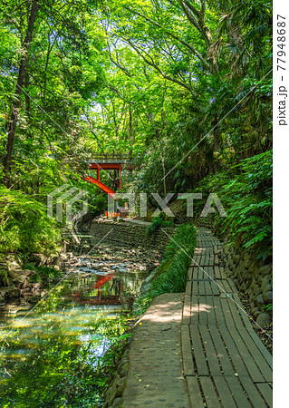 東京の都市風景 等々力渓谷 ゴルフ橋周辺の風景 東京の都市風景 等々力渓谷 ゴルフ橋周辺の風景 77948687