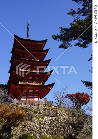 広島県 廿日市市 宮島町 豊国神社の五重塔 広島県 廿日市市 宮島町 豊国神社の五重塔 77948845