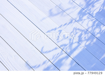 白い板塀に映る影 77949129