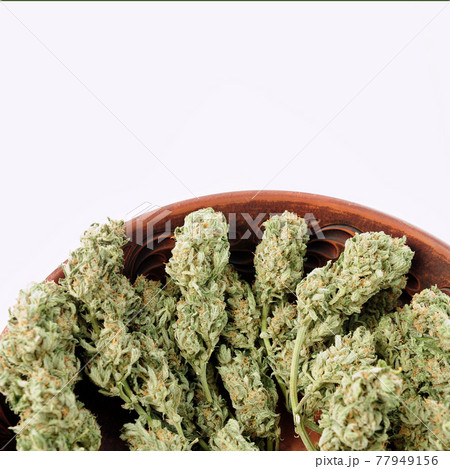 Cannabis buds in brown clay dish, flat lat, top view. 77949156