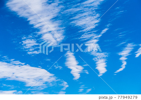 早朝 空気の澄んだ初夏の青空 早朝 空気の澄んだ初夏の青空 77949279