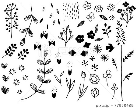 かわいい植物の手書きラフセット 77950439