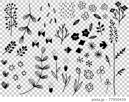 かわいい植物の手書きラフセット 77950439