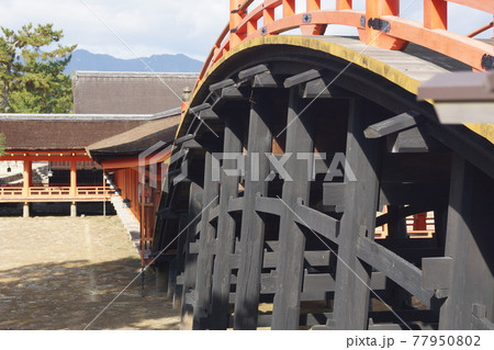 広島県 廿日市市 嚴島神社の西回廊と反橋 77950802