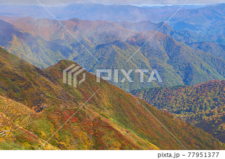 秋の谷川岳の天神尾根(避難小屋と山頂の中間地点)から北東側の西黒尾根方面を見る 77951377