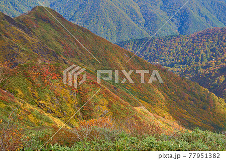 秋の谷川岳の天神尾根(避難小屋と山頂の中間地点)から北東側の西黒尾根方面を見る 77951382