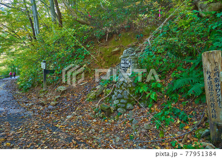秋の谷川岳の西黒尾根入口(国道291号)の道標 77951384