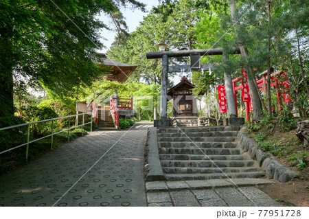 塩船観音寺 参道 初夏 東京都青梅市 塩船観音寺 参道 初夏 東京都青梅市 77951728