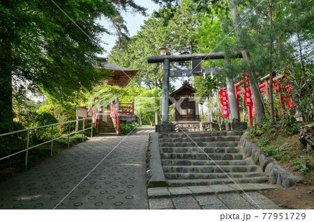 塩船観音寺 参道 初夏 東京都青梅市 塩船観音寺 参道 初夏 東京都青梅市 77951729