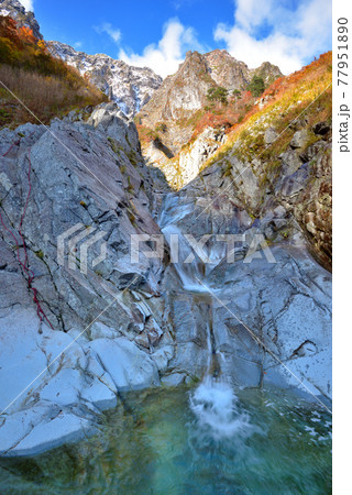 一ノ倉沢一の沢出合い付近から見た紅葉の谷川岳一ン倉沢の初冠雪の岩壁 一ノ倉沢一の沢出合い付近から見た紅葉の谷川岳一ン倉沢の初冠雪の岩壁 77951890