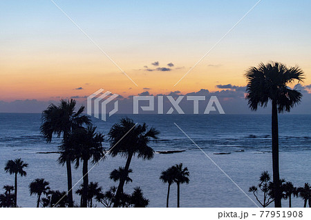 徳之島の天城町与名間ビーチの椰子の木とサンセット 77951908