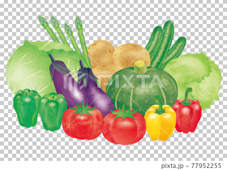 水彩風の夏野菜のイラスト素材