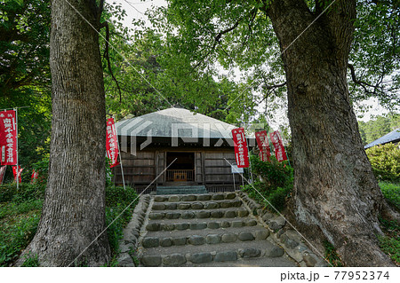 塩船観音寺　阿弥陀堂　初夏　東京都青梅市 77952374