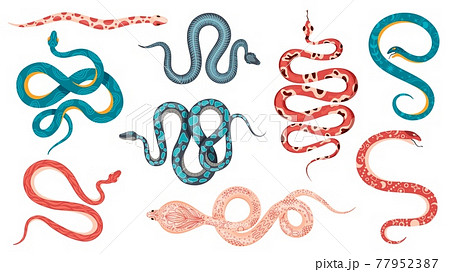 Mystic snakes. Boho magic poisonous snake with astrology symbols, floral, skeleton and abstract patterns. Esoteric serpent tattoo vector set 77952387