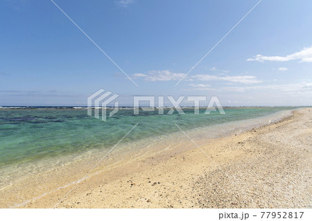 徳之島の伊仙町の喜念浜 徳之島の伊仙町の喜念浜 77952817