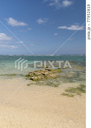 徳之島の伊仙町の喜念浜 徳之島の伊仙町の喜念浜 77952819