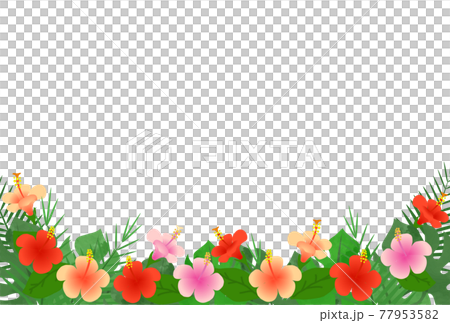 Hibiscus illustration frame 77953582