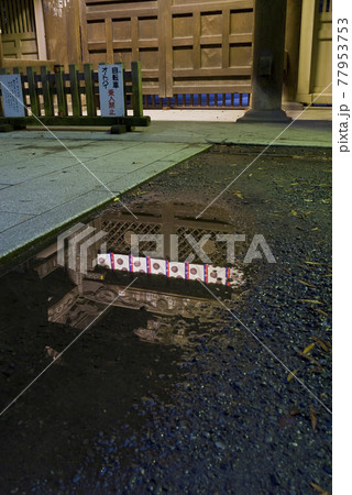 大國魂神社　旧随神門 　建て替え　移築　神社仏閣　陽射し　扉　ずいじんもん 77953753