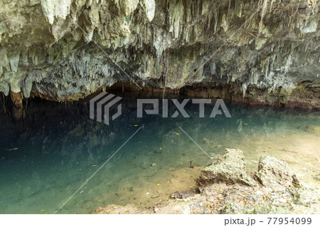 徳之島の陸の中の海 ウンブキ 徳之島の陸の中の海 ウンブキ 77954099