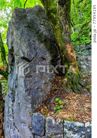 新緑の大雄寺五百羅漢(富川渓谷) 【長崎県諫早市】 新緑の大雄寺五百羅漢(富川渓谷) 【長崎県諫早市】 77954195
