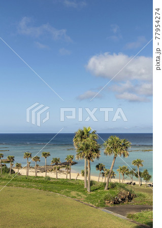 徳之島の天城町与名間ビーチの椰子の木と海岸線 徳之島の天城町与名間ビーチの椰子の木と海岸線 77954274