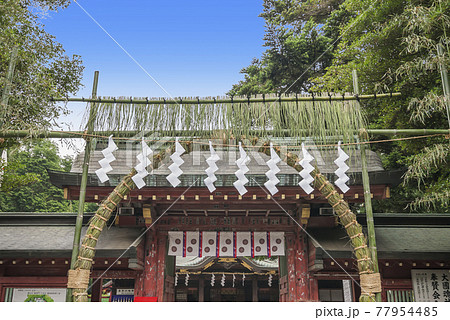 大國魂神社　神社　茅の輪 　夏越祓 　夏越の祓　厄払いけ 77954485